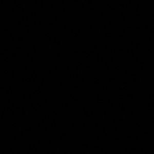 Meet your Posher, Ella